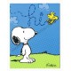 Notecard Cartão ANTIGO Importado Snoopy Hi! - Hallmark Cards