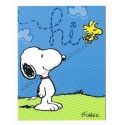 Notecard Cartão ANTIGO Importado Snoopy Hi! - Hallmark Cards