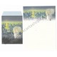 Conjunto de Papel de Carta Importado AMY & TIM 03