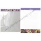 Conjunto de Papel de Carta Importado Tangled Disney