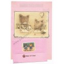 Conjunto de Papel de Carta Antigo (Vintage) Middle Cat School CRS - Japan