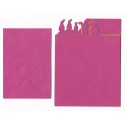 Conjunto de Papel de Carta Antigo Artefinal Tropical 4 Cores