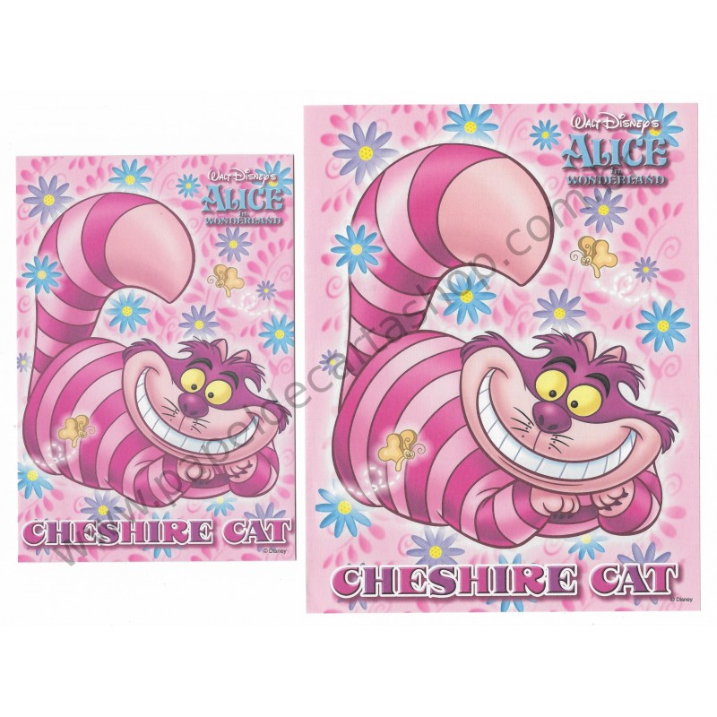 Conjunto de Papel de Carta Disney Alice Cheshire Cat