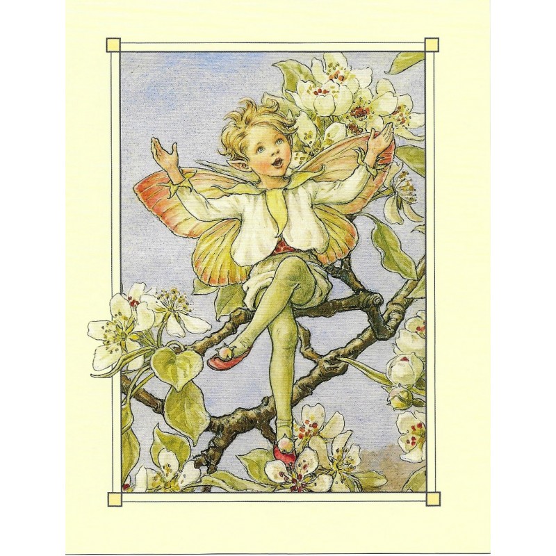 Postal Antigo Importado The Pear Blossom Fairy - Cicely