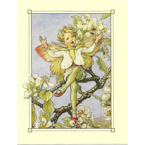 Postal Antigo Importado The Pear Blossom Fairy - Cicely