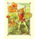 Postal Antigo Importado The Nasturtium Fairy - Cicely