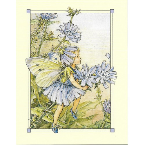 Postal Antigo Importado The Chicory Fairy - Cicely