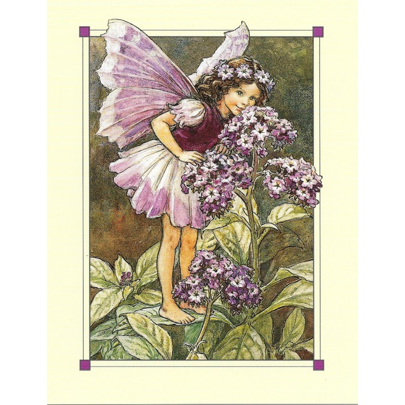 Postal Antigo Importado The Heliotrope Fairy - Cicely