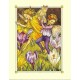 Postal Antigo Importado The Crocus Fairies - Cicely