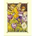 Postal Antigo Importado The Crocus Fairies - Cicely