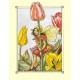 Postal Antigo Importado The Tulip Fairy - Cicely