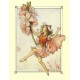 Postal Antigo Importado The Almond Blossom Fairy - Cicely