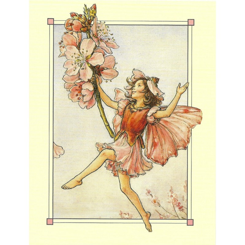 Postal Antigo Importado The Almond Blossom Fairy - Cicely