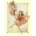 Postal Antigo Importado The Almond Blossom Fairy - Cicely