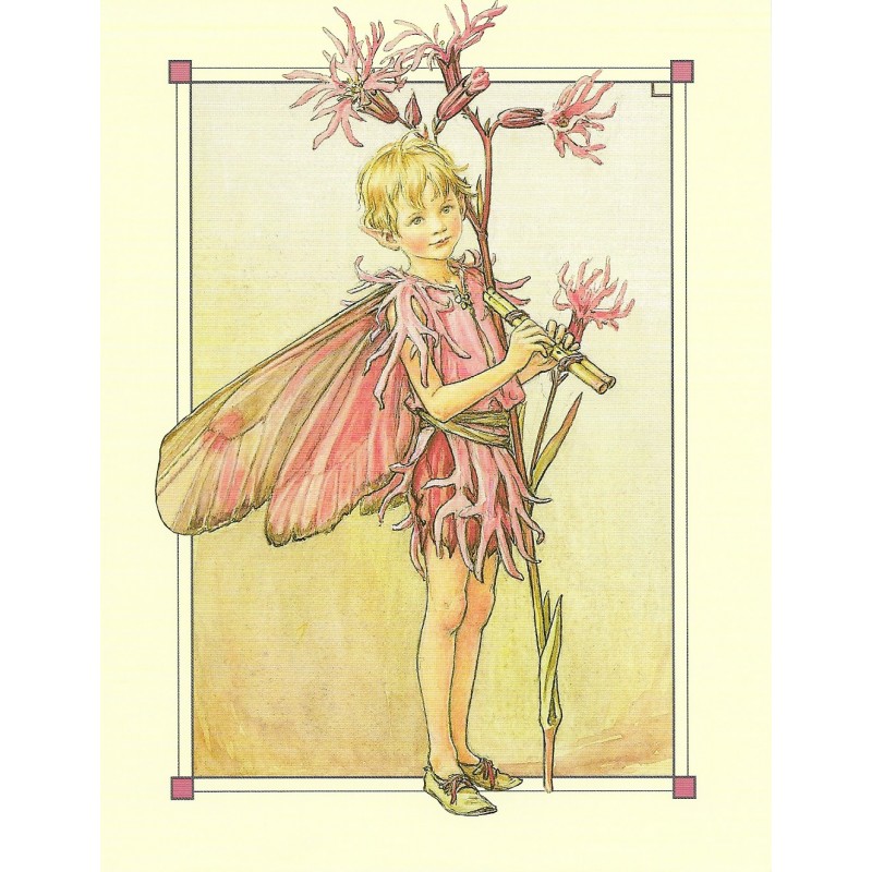 Postal Antigo Importado The Ragged Fairy - Cicely