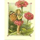 Postal Antigo Importado The Zinia Fairy - Cicely