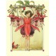 Postal Antigo Importado The Fuchsia Fairy - Cicely