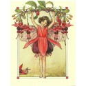 Postal Antigo Importado The Fuchsia Fairy - Cicely