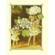 Postal Antigo Importado The Guelder Rose Fairy - Cicely