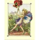 Postal Antigo Importado The Pansy Fairy - Cicely