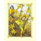 Postal Antigo Importado The Winter Jasmine Fairy - Cicely