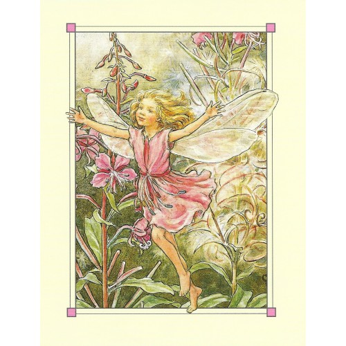 Postal Antigo Importado The Red Campion Fairy - Cicely