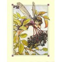 Postal Antigo Importado The Elderberry Fairy - Cicely