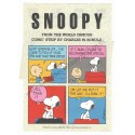 Conjunto de Papel de Carta Snoopy Take it Antigo (Vintage) Hallmark