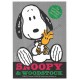 Conjunto de Papel de Carta Snoopy & Woodstock Silver Vintage Hmk japan
