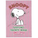 Conjunto de Papel de Carta Snoopy Red Stripes Vintage Hallmark Japan