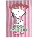 Conjunto de Papel de Carta Snoopy Red Stripes Vintage Hallmark Japan