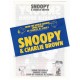 Conjunto de Papel de Carta Snoopy & Charlie B Vintage Hallmark Japan