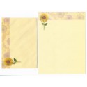 Conjunto de Papel de Carta Importado Sunflower KIKY Indonésia