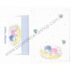 Ano 1984. Conjunto de Papel de Carta Little Twin Stars BR F2 Antigo (Vintage) Sanrio