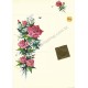 Postalete Antigo Importado Red Roses