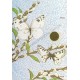 Postalete Antigo Importado Butterfly 1 Just a Notes LKPowell Current