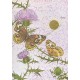 Postalete Antigo Importado Butterfly 2 Just a Notes LKPowell Current