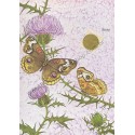 Postalete Antigo Importado Butterfly 2 Just a Notes LKPowell Current