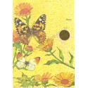 Postalete Antigo Importado Butterfly 4 Just a Notes LKPowell Current