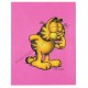 Ano 1978. Notelete Garfield CPK - Best Cards