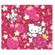 Ano 2009. Nota Hello Kitty Bear CLL Sanrio