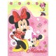 Kit 4 NOTAS Minnie Disney