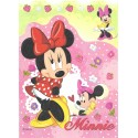 Kit 4 NOTAS Minnie Disney