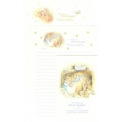 Conjunto de Papel de Carta Importado Peter Rabbit 07 DUPLA