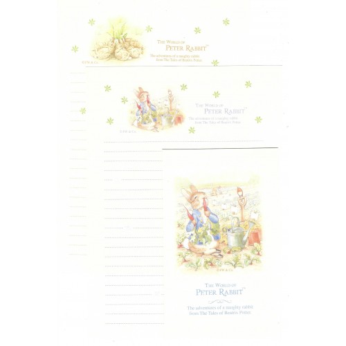 Conjunto de Papel de Carta Importado Peter Rabbit 09 DUPLA