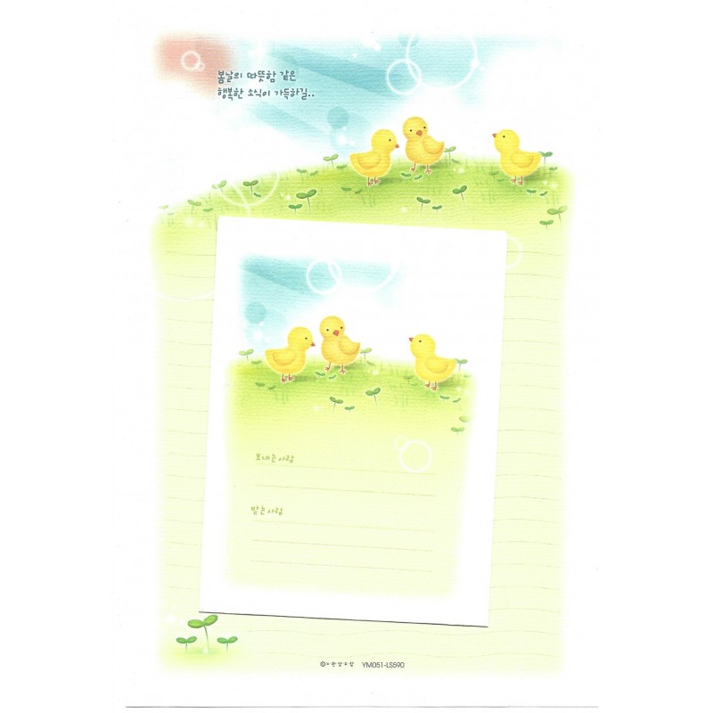 Conjunto de Papel de Carta Importado Chicks - YM