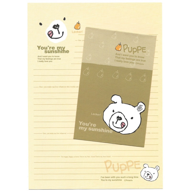 Conjunto de Papel de Carta Importado You're My Sunshine CVD Polaris