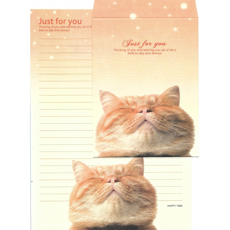 Conjunto de Papel de Carta Importado Happy Time Cat 1