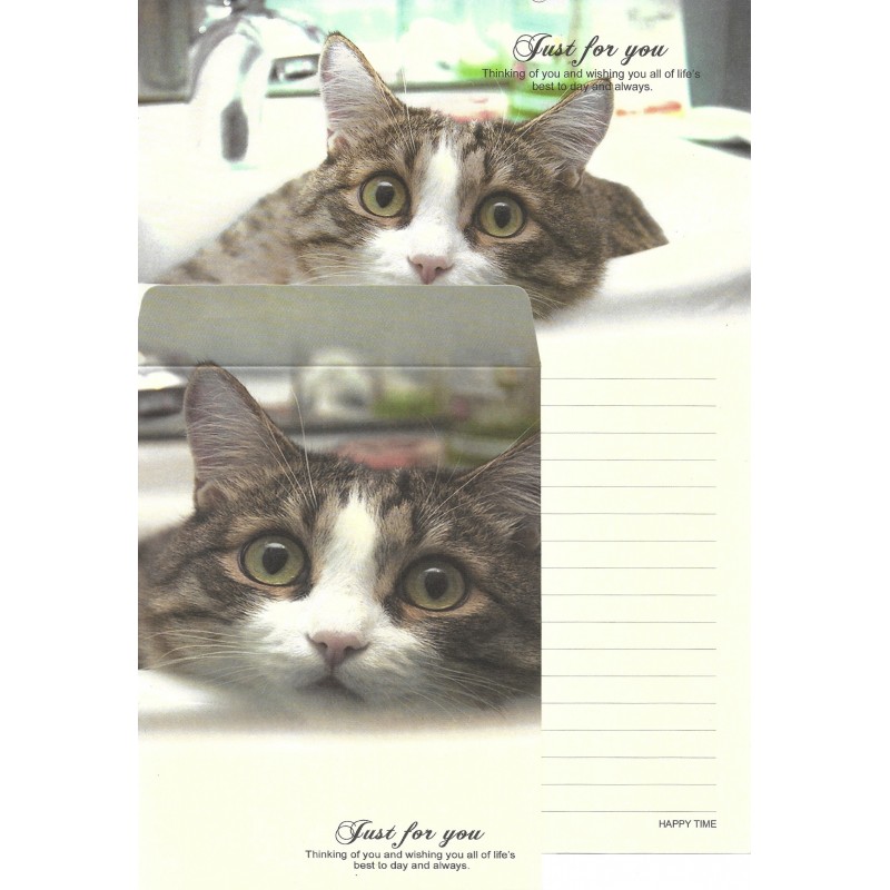 Conjunto de Papel de Carta Importado Happy Time Cat 3