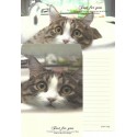 Conjunto de Papel de Carta Importado Happy Time Cat 3